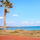 제주도한달살기 이미지