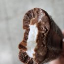 초코 멜로 바 후기
