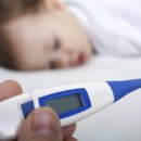 우리똥강아지 이미지