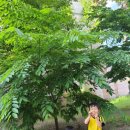 송천초등학교병설유치원 이미지