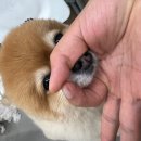 카디오메드 | 항우울제 효과 받으러 classpass로 센트럴로 운동 나가다.