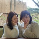 블랙돗 이미지