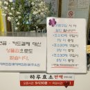 하루효소편백 이미지