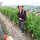 찬우물약수터 이미지