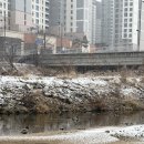 [01.27-02.02] 취미부자의 황금연휴 보내는법(설연휴, 다이빙, 스노우보드)