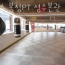 플렉스 복싱 PT 이미지