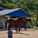 두곡리경로당 이미지