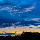 조경기능사 이미지