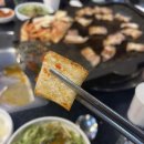 제주포크똥돼지