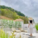 루나벨 D동 이미지