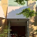퍼피룸 마린시티점 | 부산 해운대 카페 추천, 모모스커피 마린시티점 시그니처메뉴 내돈내산 주말 방문후기