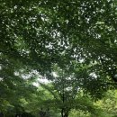 호미곶헬스 이미지