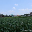 수완1제 이미지