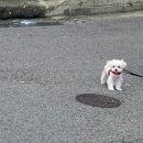 감자앤제리