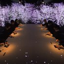 미술학원오감 이미지