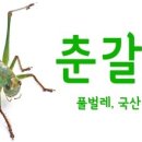 춘달농장 네이버블로그