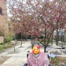 진주요양원 | 진주시요양원 추천! 바로 진주동부요양원