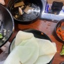 은행나무갈매기 이미지