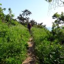 [섬 박산행] 고흥 손죽도(巽竹島) 삼각산-봉화산 이미지