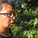 효심 농장 이미지