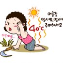 로지스톰항공