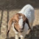 지송농장 이미지