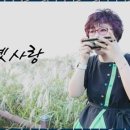 하모니카와 음악여행 이미지