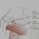 라이프헬스PT 네이버블로그