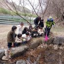 이루숲어린이집 이미지