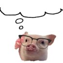 춘천시 치매안심센터 이미지