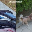 제로스PC 이미지