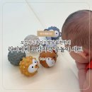 두뇌발달 촉감놀이 꼼지락(6~9개월) | 두뇌 자극 아기 물놀이 장난감 라비베베 오감자극 공놀이 세트 사용 후기