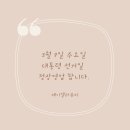 엘라뷰티