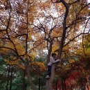 어울림숲학교 이미지