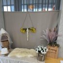 하이멍 애견카페 이미지