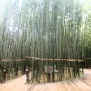 해파랑길 7코스 이미지