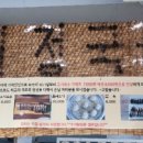 월정리 바다별 이미지