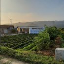 신광마을회관 이미지