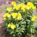 박경자농장 이미지