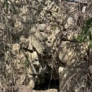 의령 보리사지 이미지