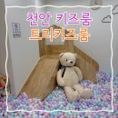 아이리베어린이집 | 천안 실내놀이터 프라이빗한 키즈룸 키즈카페대관 트리키즈룸