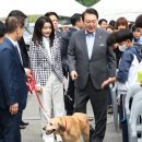 앞마당 어린이 공원 이미지