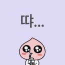 씨엔테크 | 잠실 롯데월드 아이스링크 후기