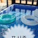 참약사새봄약국 이미지