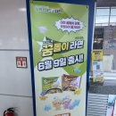 서대전역관광안내소 | 대전 꿈돌이 라면 후기 해물짬뽕맛 물조절 실패