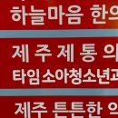 제주제통의원 네이버블로그