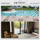 말도 안되는 보홀 아모리타 리조트 후기(비나투어 예약했어요!)