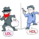 HDL, LDL콜레스테롤? 이미지