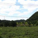 횡성 산울림오토캠핑장 이미지