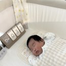 교하슬기유치원 | 파주 운정 산후도우미 엔젤스맘 3주 이용 후기~ 반려동물 있는 집 가능! 엔젤스맘 파주 관리사님 추천!